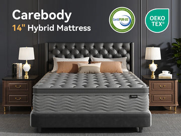 Twin Size 8 inch Premium Hybrid Mattress in a Box with Back Lumbar Support
