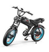 C93 Dual-Motor 2000W Electric Bike with 48V 23Ah Battery